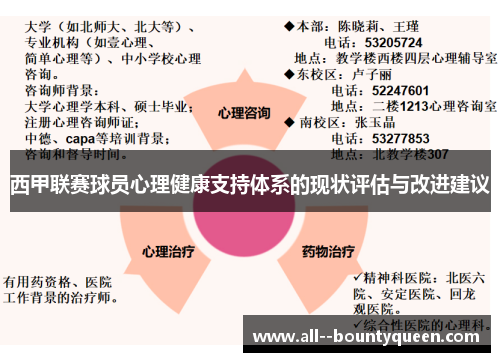 西甲联赛球员心理健康支持体系的现状评估与改进建议