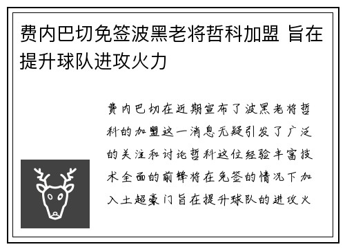 费内巴切免签波黑老将哲科加盟 旨在提升球队进攻火力